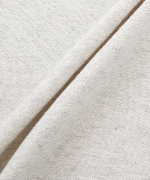 Dickies/ディッキーズ サテンカレッジロゴ刺繍 裏毛オーバー