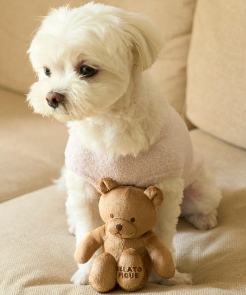 gelato pique（ジェラートピケ）の「【CAT&DOG】ベアトイ（ペット用