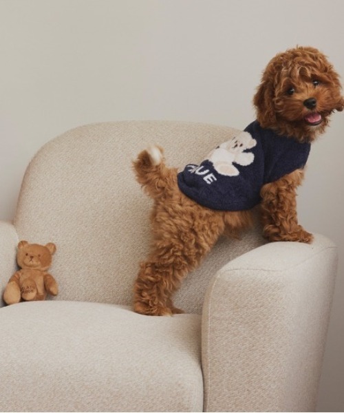 gelato pique - ジェラピケ　テディベア　ブラウン【新品】 gelato pique（ジェラートピケ）の「【CAT&DOG】ベアトイ
