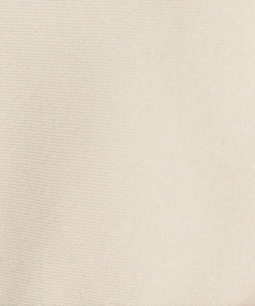 THE SHOP TK （ザ ショップ ティーケー ）の「ドルマン袖釦ニット【洗濯機OK】（ニット/セーター・レディース・ピンク/スミクロ/ライトグリーン/ナチュラル・12/13）」の17枚目の写真