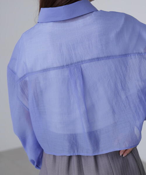 FREE'S MART（フリーズマート）の「◆シアーオーガンジーショート丈シャツ（シャツ/ブラウス・レディース・ピンク/ブルー/ブラック/ホワイト・FREE）」の9枚目の写真