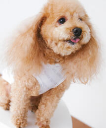 NATURAL BEAUTY BASIC（ナチュラルビューティーベーシック）の「DOG メッシュ総ロゴTee（ペットウェア）」