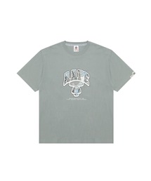 APE 半袖スウェット L グレー A BATHING APE｜アベイシングエイプのTシャツ/カットソー