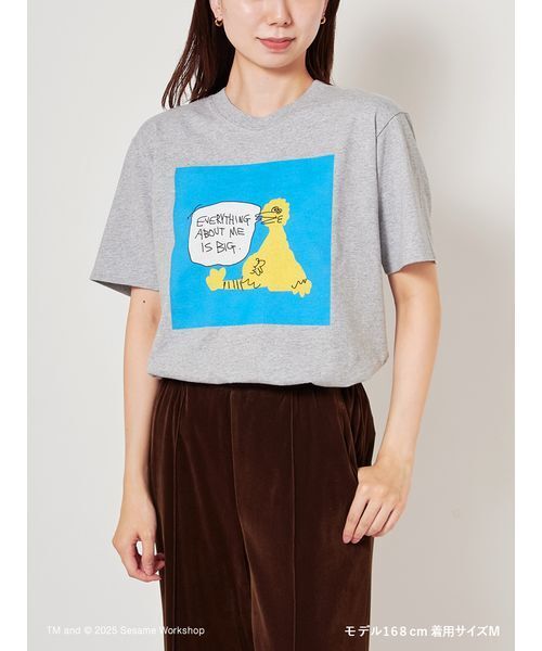 SESAME STREET(セサミストリート)の「【SESAME STREET MARKET×オガワナツミ】オリジナルアート Tシャツ(Tシャツ/カットソー・レディース・オフホワイト/グレー/ブルー/イエロー/ブラック・M/L)」の22枚目の写真