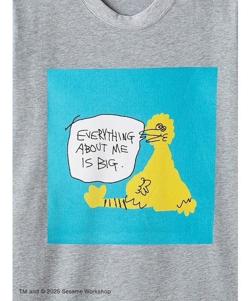 SESAME STREET(セサミストリート)の「【SESAME STREET MARKET×オガワナツミ】オリジナルアート Tシャツ(Tシャツ/カットソー・レディース・オフホワイト/グレー/ブルー/イエロー/ブラック・M/L)」の15枚目の写真