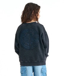 DC SHOES（ディーシーシューズ）の「DC SHOES キッズ 26 KD HIDDEN CREWNEC プルオーバー トレーナー【2026年春夏モデル】/バックプリントスウェット(セットアップ対応可能)（スウェット）」