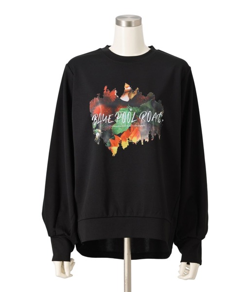 PATRIOT TAXI SELECT(パトリオットタクシーセレクト)の「【BLUE POOL ROAD】フォトプリントデザインプルオーバー(Tシャツ/カットソー・レディース・ブラック/グレイッシュベージュ/オフホワイト/パープル系その他・MEDIUM/LARGE/LL/3L)」の2枚目の写真