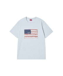 TNSW FLAG TEE HEATHER GREY