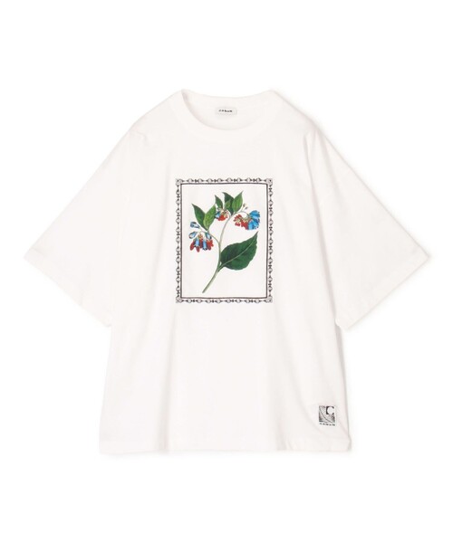 caban（キャバン）の「スビンコットン FLOWER Tシャツ（Tシャツ/カットソー・メンズ・グリーン系その他/イエロー系その他/ブラック系その他/ホワイト系その他・M/S/L）」の2枚目の写真