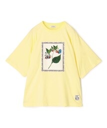 CABaN｜キャバンのTシャツ/カットソー（イエロー/黄色系・半袖）通販