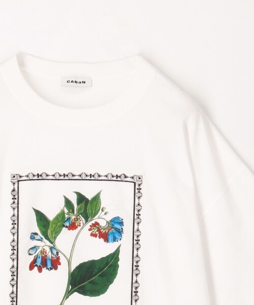 caban（キャバン）の「スビンコットン FLOWER Tシャツ（Tシャツ/カットソー・メンズ・グリーン系その他/イエロー系その他/ブラック系その他/ホワイト系その他・M/S/L）」の7枚目の写真