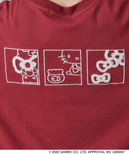 sanrio(サンリオ)の「【HELLO KITTYコラボ】刺繍ロンT(Tシャツ/カットソー・レディース・チャコールグレー/ブラック系/ホワイト系1/ワイン系1・01/02/03/04)」の20枚目の写真