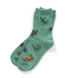 いろいろBoysソックス