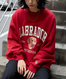 Labrador Retriever（ラブラドールリトリーバー）の「Labrador Retriever/ラブラドールレトリーバー 別注 カレッジロゴ刺繍 ビッグシルエット プルオーバースウェット（スウェット）」