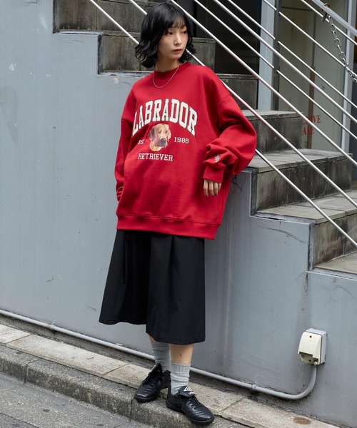 セール】Labrador Retriever/ラブラドールレトリーバー 別注 カレッジ