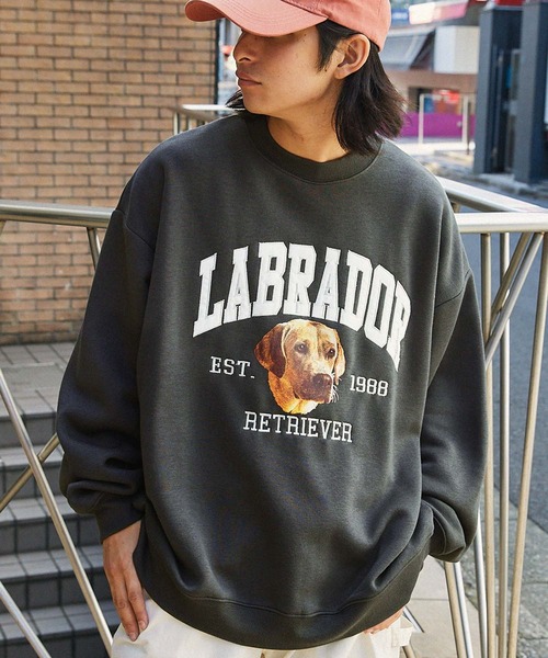 Labrador Retriever（ラブラドールリトリーバー）の「Labrador Retriever/ラブラドールレトリーバー 別注 カレッジロゴ刺繍 ビッグシルエット プルオーバースウェット（スウェット・メンズ・グリーン/チャコール/ネイビー/グレー/杢グレー/カーキ/ダークブラウン/グレイッシュベージュ/オフホワイト/レッド・L/M）」の17枚目の写真