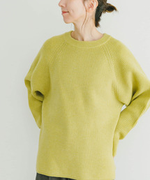 ITEMS URBANRESEARCH | アゼアミクルーネックニット(ニット/セーター)