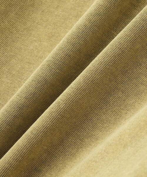 DANKE SCHON（ダンケシェーン）の「【WEB&DEPOT限定】DankeSchon/ダンケシェーン/PIGMENT L/S TEE DOG（Tシャツ/カットソー・レディース・ブラック/ベージュ・L/M）」の13枚目の写真