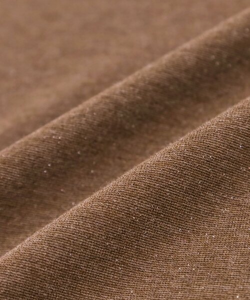 Cutie Blonde（キューティーブロンド）の「ラメスムースハイネックインナー（Tシャツ/カットソー・レディース・ダークブラウン/ブラック/アイボリー/ブルー・04/03/02/01）」の16枚目の写真