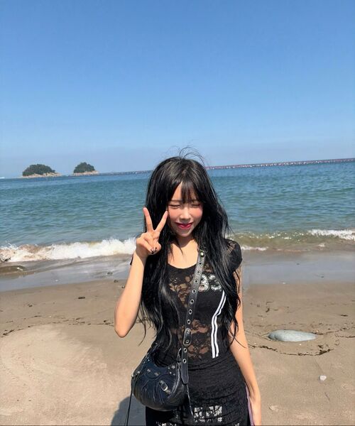 SETUP-EXE(セットアップイーエックスイー)の「33 LACE TOP / BLACK(Tシャツ/カットソー・レディース・その他・OS)」の3枚目の写真