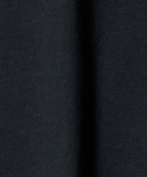 Champion(チャンピオン)の「<Champion>ボストン ショートスリーブ Tシャツ / キッズ 110cm-130cm(Tシャツ/カットソー・キッズ・ライトブルー/ダークグレー/ホワイト・110cm/120cm/130cm)」の20枚目の写真