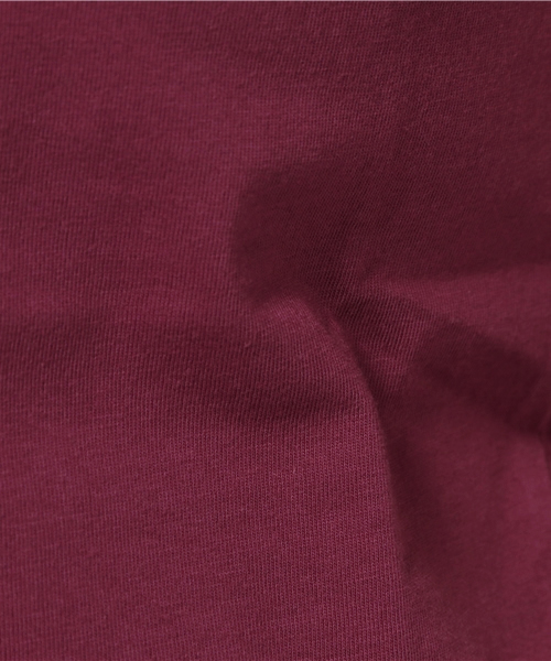 NATURAL BEAUTY BASIC（ナチュラルビューティーベーシック）の「CALIFORNIA COMPACT Tシャツ（Tシャツ/カットソー・レディース・ボルドー/ダークベージュ/ブラック/グレー/ホワイト・SMALL/MEDIUM）」の6枚目の写真