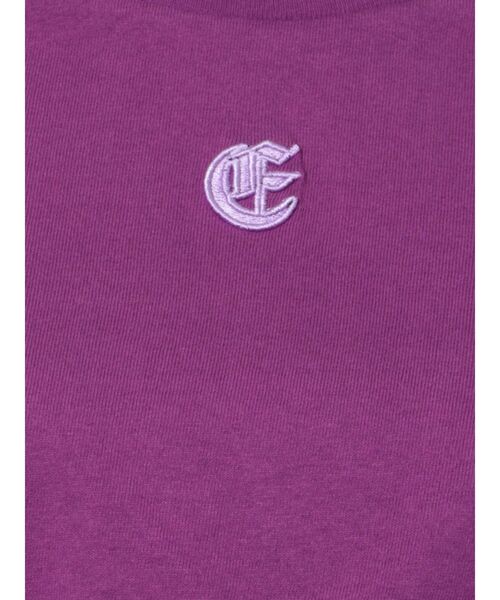 EVRIS（エヴリス）の「ワンポイントクロップドTシャツ（Tシャツ/カットソー・レディース・ブラック/パープル/ホワイト・FREE）」の16枚目の写真