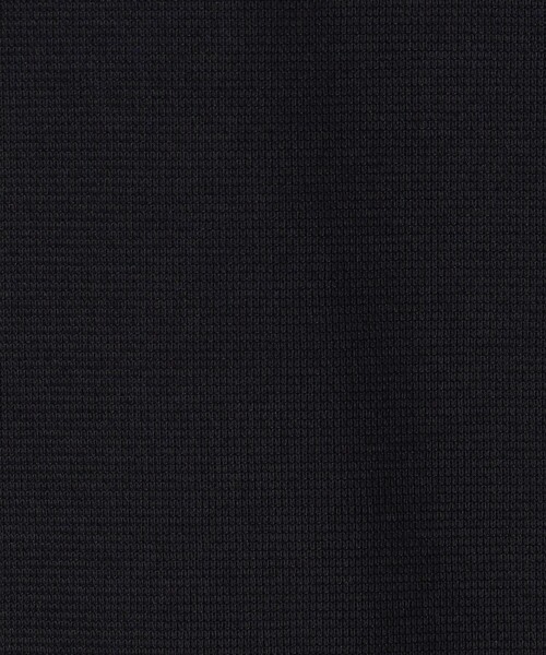 BALLSEY(ボールジィ)の「ジャージーステッチ ハーフスリーブプルオーバー(シャツ/ブラウス・レディース・ライトベージュ/ライトグリーン/ネイビー・36)」の5枚目の写真