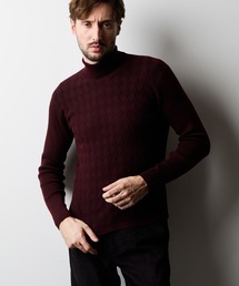 HIDEAWAYS NICOLE | バスケットジャガードタートルネックニット(ニット/セーター)