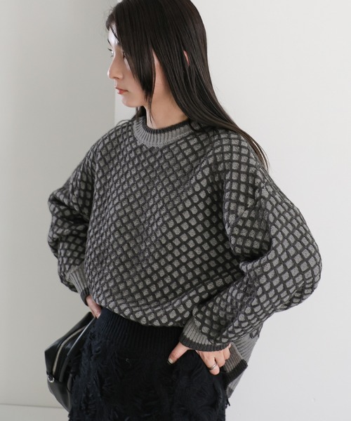 select MOCA（セレクトモカ）の「【洗える】バイカラーメッシュニット（ニット/セーター・レディース・チャコールグレー/ベージュ・FREE）」の19枚目の写真
