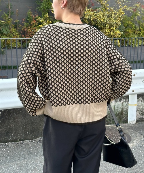 select MOCA（セレクトモカ）の「【洗える】バイカラーメッシュニット（ニット/セーター・レディース・チャコールグレー/ベージュ・FREE）」の14枚目の写真