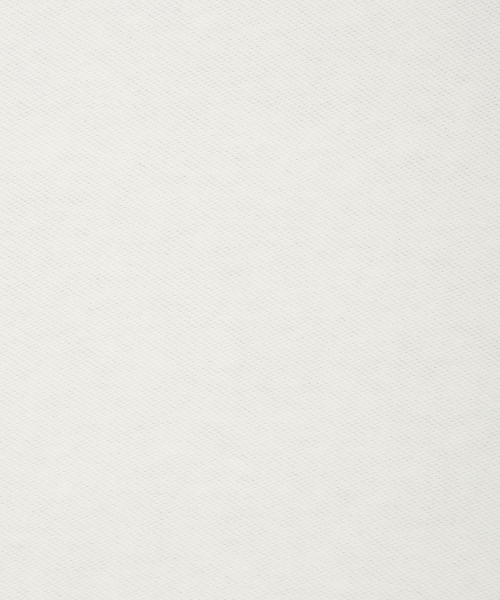 Wacky WiLLy(ワッキーウィリー)の「バックプリントレタリングスウェットライトグレー(スウェット・レディース・その他・SMALL/MEDIUM/LARGE/X-LARGE/X-SMALL)」の8枚目の写真