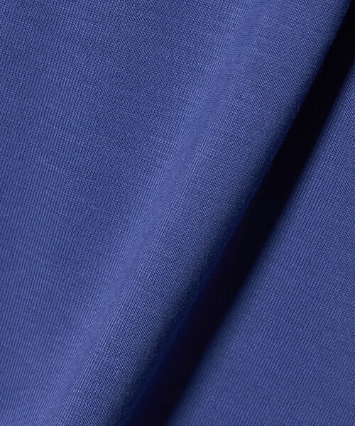 A DAY IN THE LIFE UNITED ARROWS(アデイインザライフユナイテッドアローズ)の「テンジク Vネック Tシャツ <A DAY IN THE LIFE>(Tシャツ/カットソー・レディース・オフホワイト/コバルトブルー/ダークグレー/その他1・FREE)」の20枚目の写真
