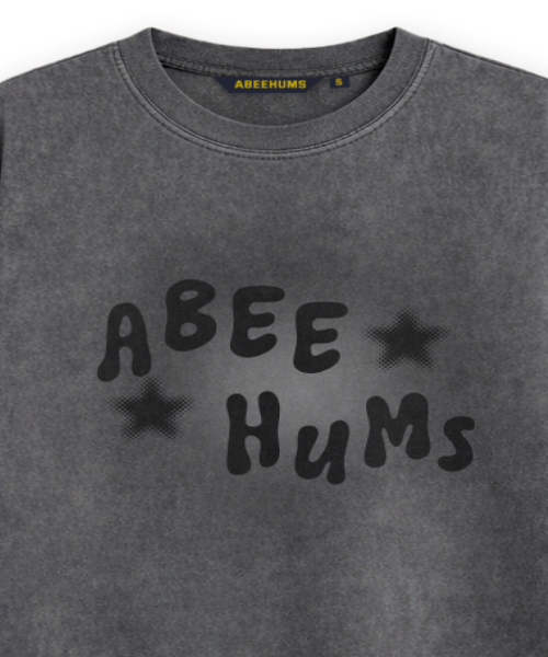 ABEEHUMS(アビハムズ)の「ピグメントダイングパンク半袖Tシャツ ABH365-110 チャコール(Tシャツ/カットソー・レディース・チャコール・SMALL/MEDIUM)」の4枚目の写真
