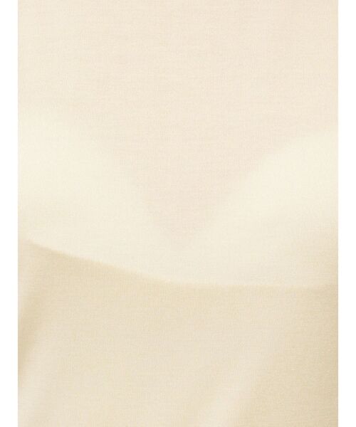 LAGUNAMOON(ラグナムーン)の「アメスリカットタンクトップス(Tシャツ/カットソー・レディース・アイボリー/ブラック/ブラウン・FREE)」の16枚目の写真