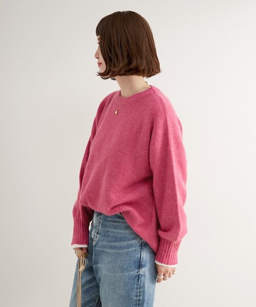 B.C STOCK(ベーセーストック)の「《追加4》FOXMIXクルーネックプルオーバー(ニット/セーター・レディース・ブルー/ピンク/レッド/ベージュ/チャコールグレー・FREE)」の16枚目の写真