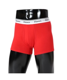 HANES(wCY)́yHanes/wCYzY {NT[u[t(̑A_[EFA/Ci[)