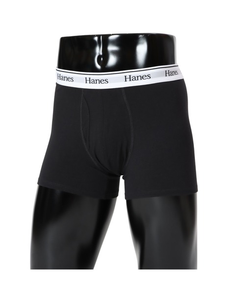 HANES(wCY)́yHanes/wCYzY {NT[u[t(̑A_[EFA/Ci[)