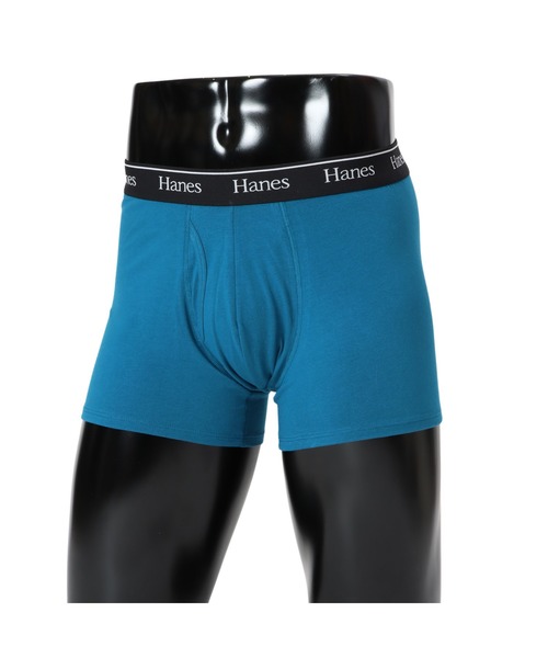 HANES(wCY)́yHanes/wCYzY {NT[u[t(̑A_[EFA/Ci[)