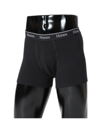 HANES(wCY)́yHanes/wCYzY {NT[u[t(̑A_[EFA/Ci[)