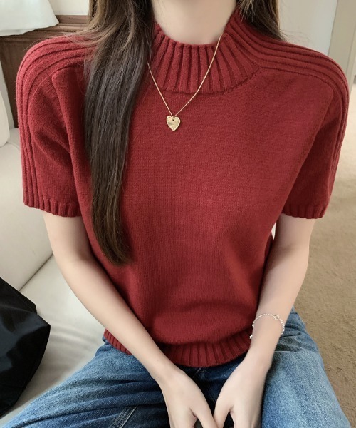 Aelina(エリナ)の「ハイネック半袖ニットトップス(ニット/セーター・レディース・ブラック/オフホワイト/グレー/ブルー/ピンク/レッド・F)」の6枚目の写真