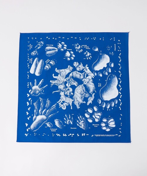 BEAUTY&YOUTH UNITED ARROWS（ビューティーアンドユースユナイテッドアローズ）の「＜Printed Image＞アニマル バンダナ（バンダナ/スカーフ・メンズ・ロイヤルブルー・FREE）」の2枚目の写真