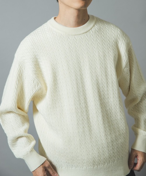ITEMS URBANRESEARCH(アイテムズ アーバンリサーチ)の「ミニケーブルクルーネックニットプルオーバー(ニット/セーター・メンズ・ブラック/モカ/ホワイト/バーガンディー・MEDIUM/LARGE)」の5枚目の写真