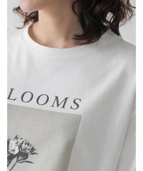 AMERICAN HOLIC（アメリカンホリック）の「転写フォト５分袖クルーネックBIGカットチュニック（Tシャツ/カットソー・レディース・オフホワイト/ホワイト・M/L）」の16枚目の写真