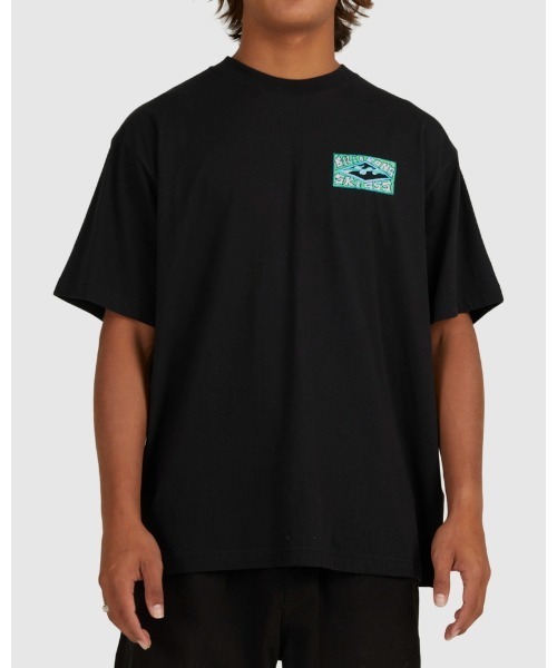 BILLABONG（ビラボン）の「【直営店限定】BILLABONG メンズ 【SKEGSS】 GREEN GOBLIN SS Ｔシャツ 【2022年秋冬モデル】/ビラボン半袖Tシャツ（Tシャツ/カットソー・メンズ・ブラック・MEDIUM/LARGE）」の8枚目の写真