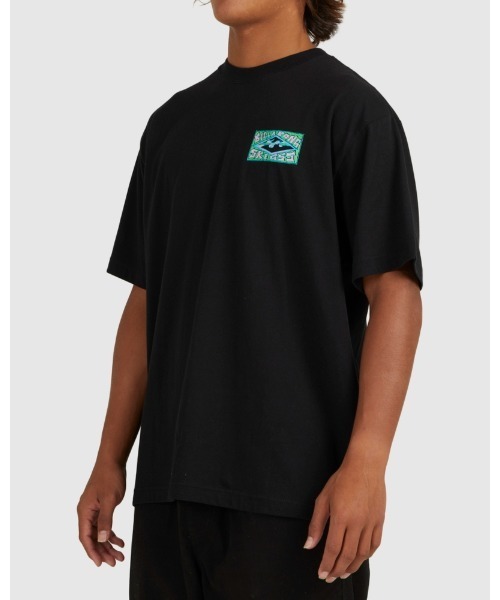 BILLABONG（ビラボン）の「【直営店限定】BILLABONG メンズ 【SKEGSS】 GREEN GOBLIN SS Ｔシャツ 【2022年秋冬モデル】/ビラボン半袖Tシャツ（Tシャツ/カットソー・メンズ・ブラック・MEDIUM/LARGE）」の5枚目の写真