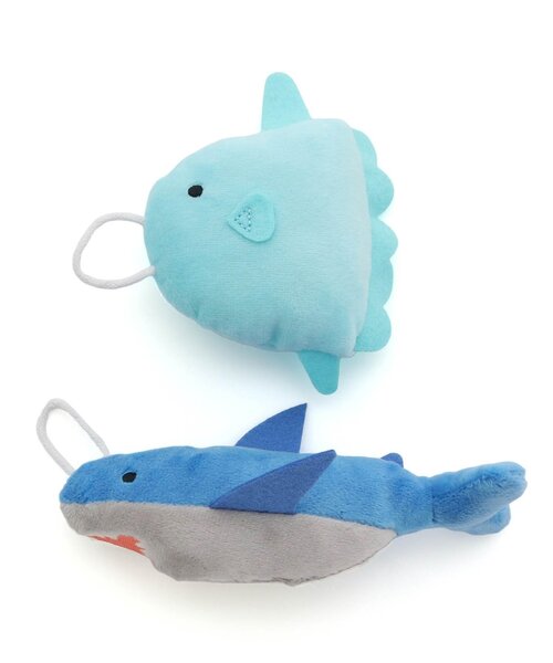 INAUSA様☆魚セット おさかな水槽セット DCM ガラス水槽セット S | ホームセンター