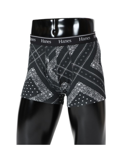 HANES（ヘインズ）の「【Hanes/ヘインズ】メンズ ボクサーブリーフ（その他アンダーウェア/インナー・メンズ・その他2/その他1・X-LARGE/LARGE/MEDIUM）」の2枚目の写真