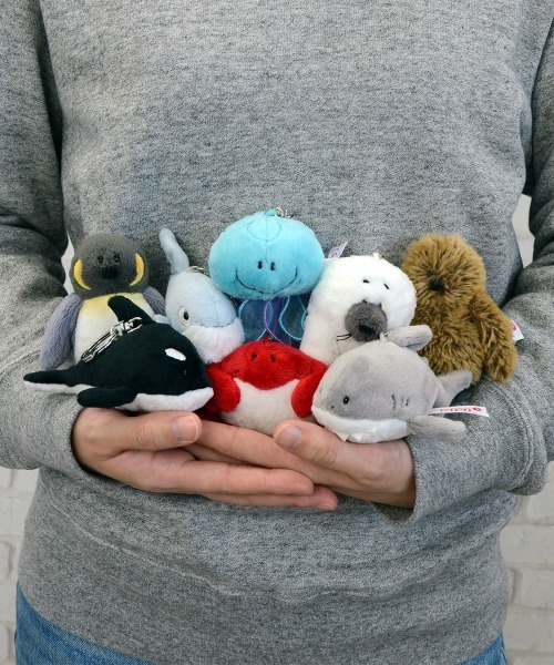 ヌレヌレ☆キラメキジョウネツキッス(ライチジャスミンティー) ヌレヌレ☆キラメキジョウネツキッス(ライチジャスミンティー) 【公式