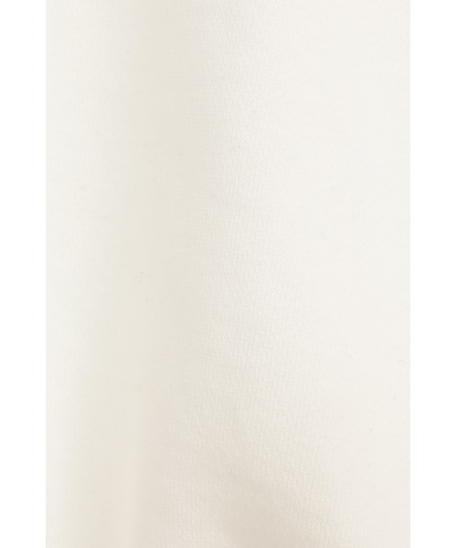 CLANE（クラネ）の「LOGO SHORT SWEAT TOPS（スウェット・レディース・ブラック/グレー/ホワイト・1/2）」の15枚目の写真